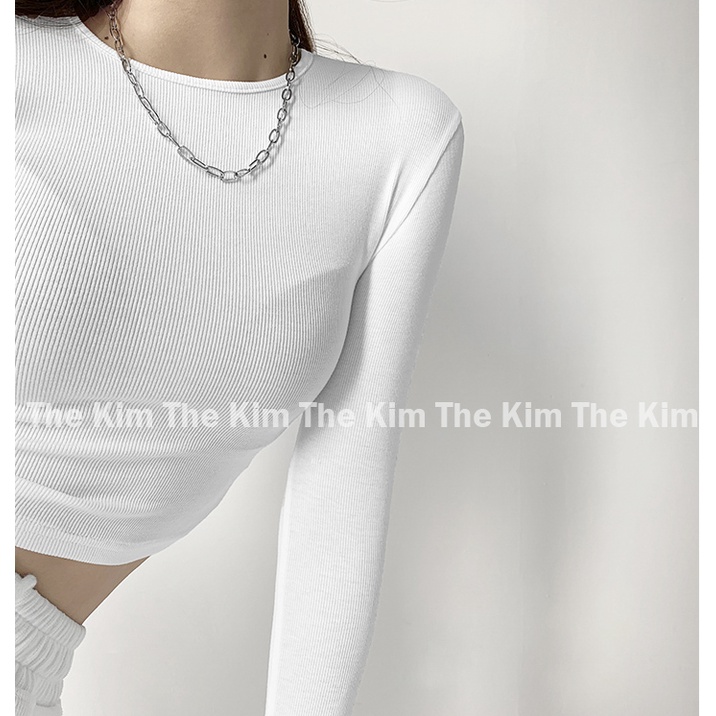 Áo thun tăm trơn cổ tròn dài tay dáng croptop nhiều màu , thun basic cho nữ ôm sát body tôn dáng sexy AD119