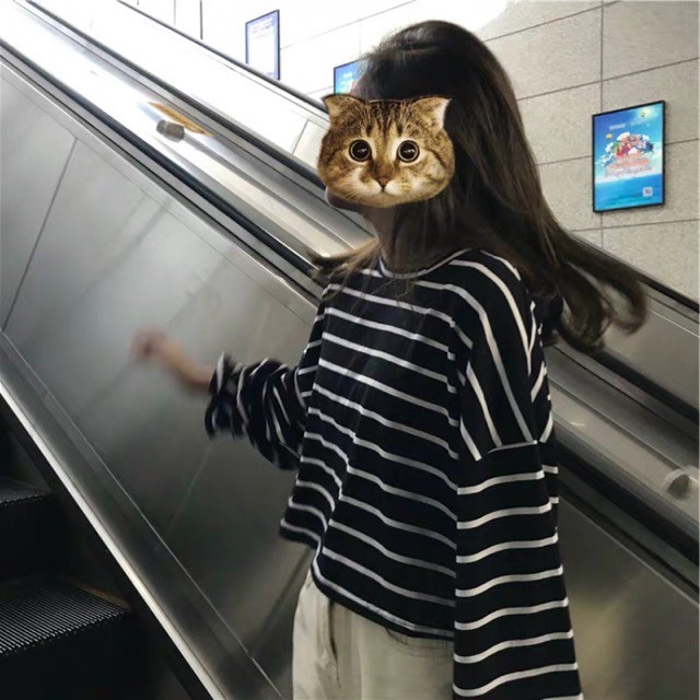 Áo croptop dài tay kẻ sọc ngang ,hai màu đen trắng | BigBuy360 - bigbuy360.vn