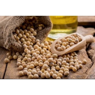 >>sale sốc<< 200g các loại đậu : đậu ván/đậu phộng/trắng bi/ đỏ thận 200g