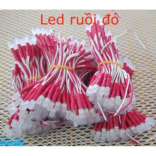LED RUỒI 5V - LED QUẢNG CÁO