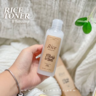 TONER CHIẾT XUẤT MẦM GẠO