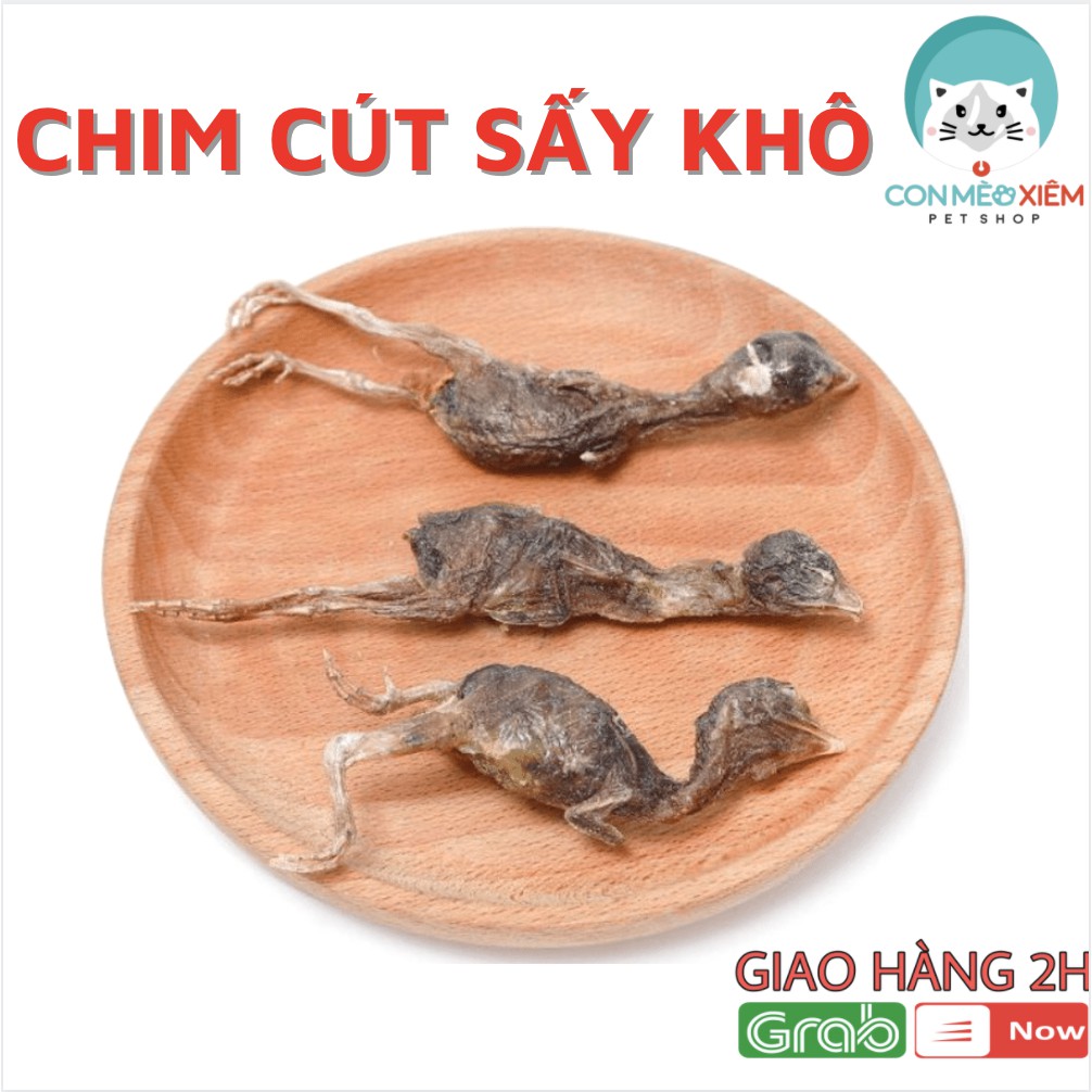 Chim cút sấy khô cho chó mèo 1 con thức ăn tăng cân cho mèo cún yêu Con Mèo Xiêm