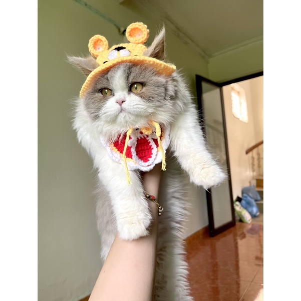 Mũ Yếm Len chó mèo handmade siu xinh
