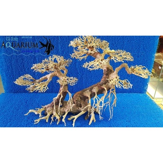 Cây Bonsai cho hồ cá size lớn