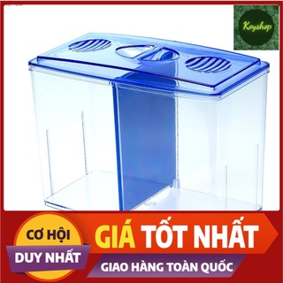 Bể cá để bàn mini, hồ cá mini nuôi betta