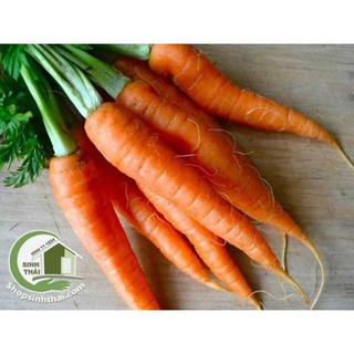 Hạt giống củ cà rốt