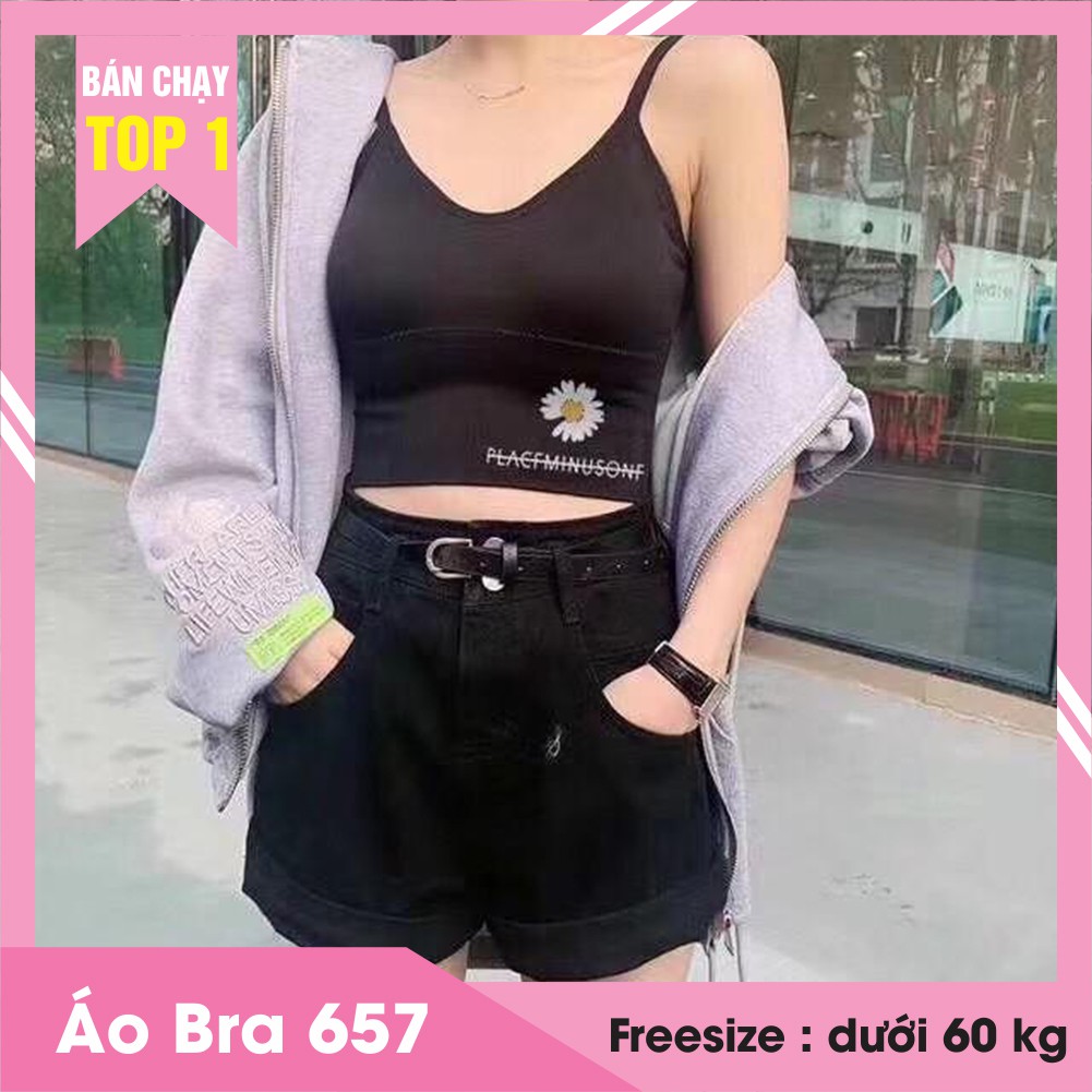 Áo bra nữ hình hoa cúc hàng Quảng Châu loại 1