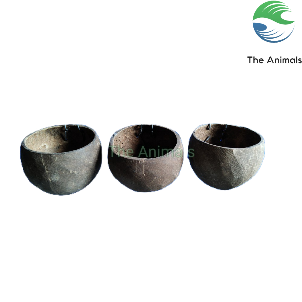 [Combo 3 cái] cóng đựng thức ăn, nước uống cho chim, vẹt