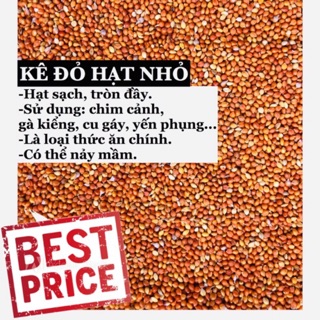 Hạt kê đỏ nhỏ (thức ăn chim yến, gà kiểng, cu gáy...)