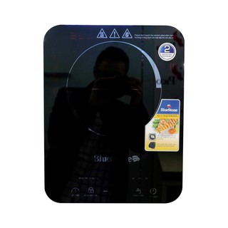 Bếp từ BlueStone ICB-6635
