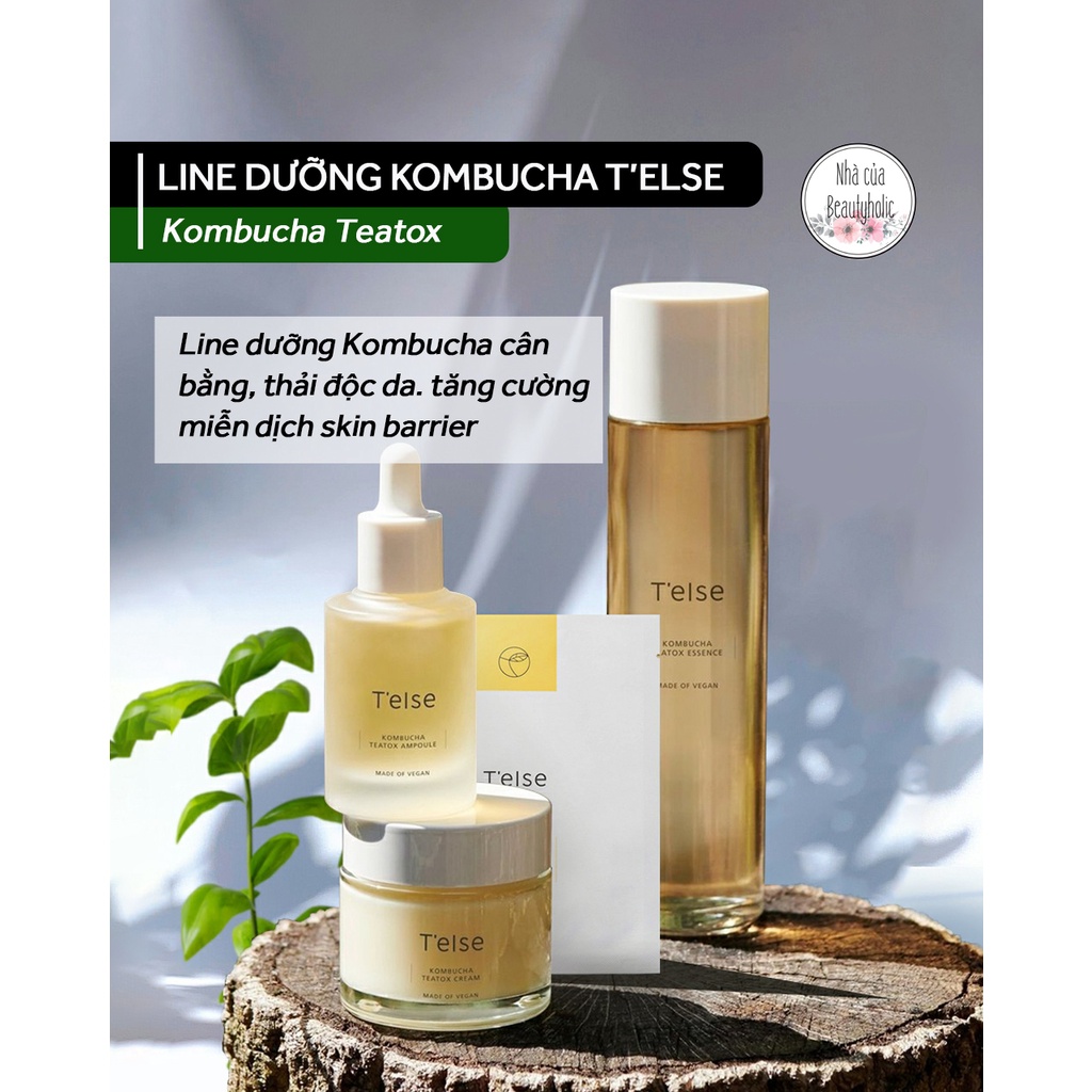Dòng dưỡng Kombucha thuần chay TELSE KOMBUCHA TEATOX