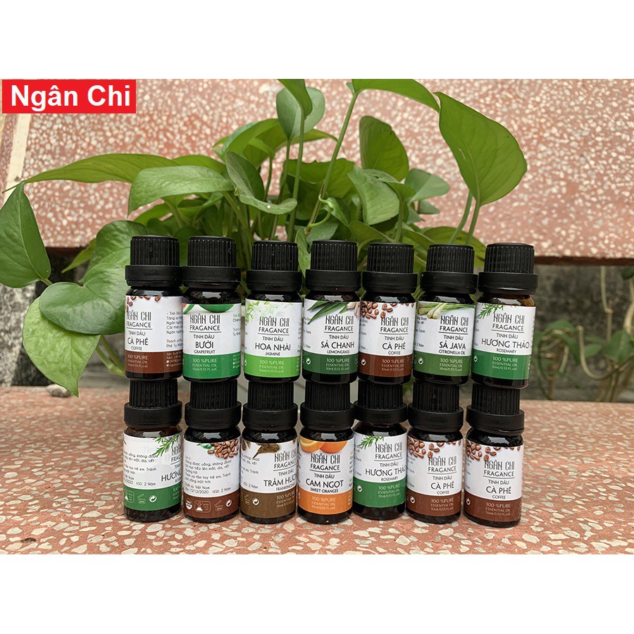 Tinh Dầu Cam Ngọt Nguyên Chất Đậm Đặc10ml Ngân Chi