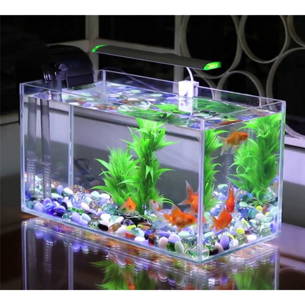 Bể cá mini thủy sinh chất liệu mica để bàn dài 24/ cao14/ sâu 12cm