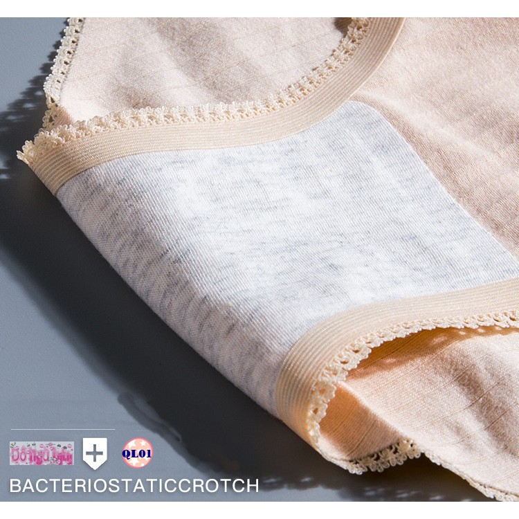 Quần Lót Nữ thun Cotton QL01