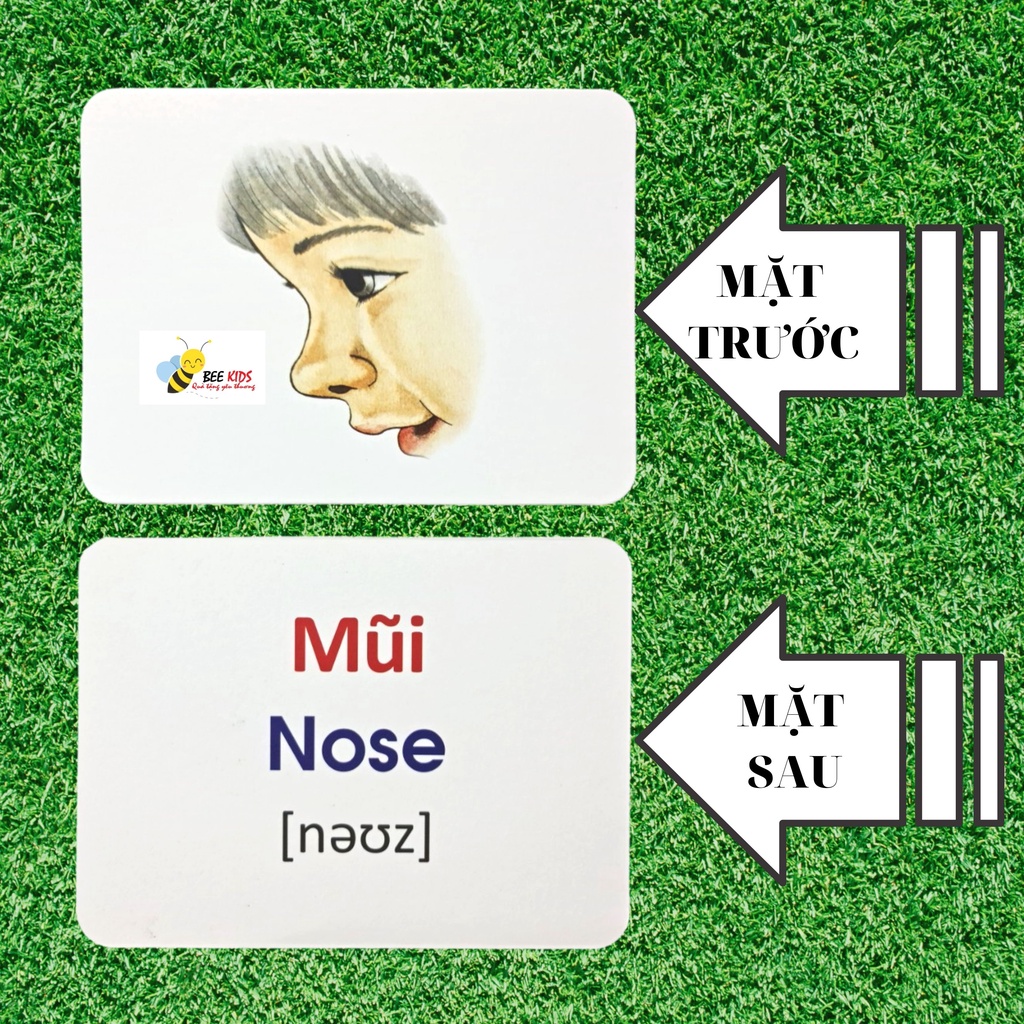 Thẻ Học Thông Minh Flashcards Chủ Đề Bản Thân Và Gia Đình Cho Bé BEEKIDS