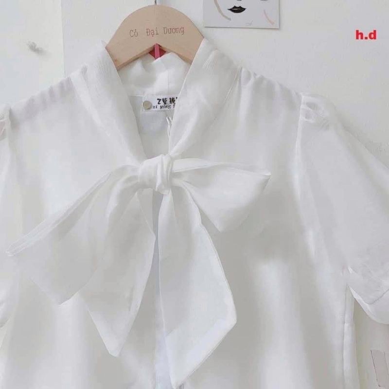 Áo Bánh Bèo Màu Trắng, Sơ Mi Trắng Cổ Bèo Tiểu Thư | BigBuy360 - bigbuy360.vn
