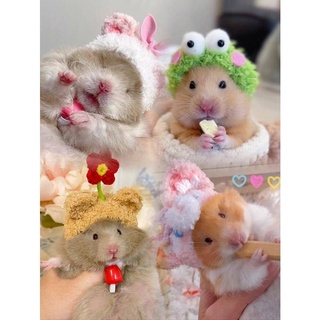 Mũ tai bèo hình gấu vàng / thỏ / cà rốt / luffy dễ thương cho chuột hamster