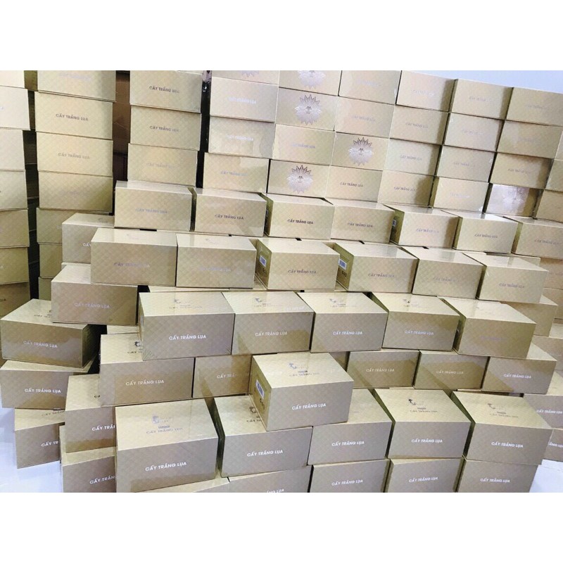 CẤY TRẮNG LỤA NANO COLLAGEN - SEXY GIRL