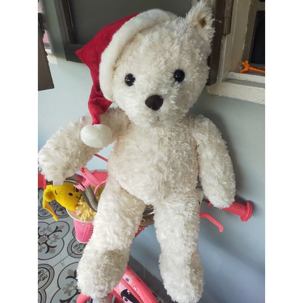 Gấu bông Teddy giá rẻ🌲☃️🍃