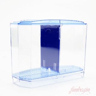 Bể Cá Mini