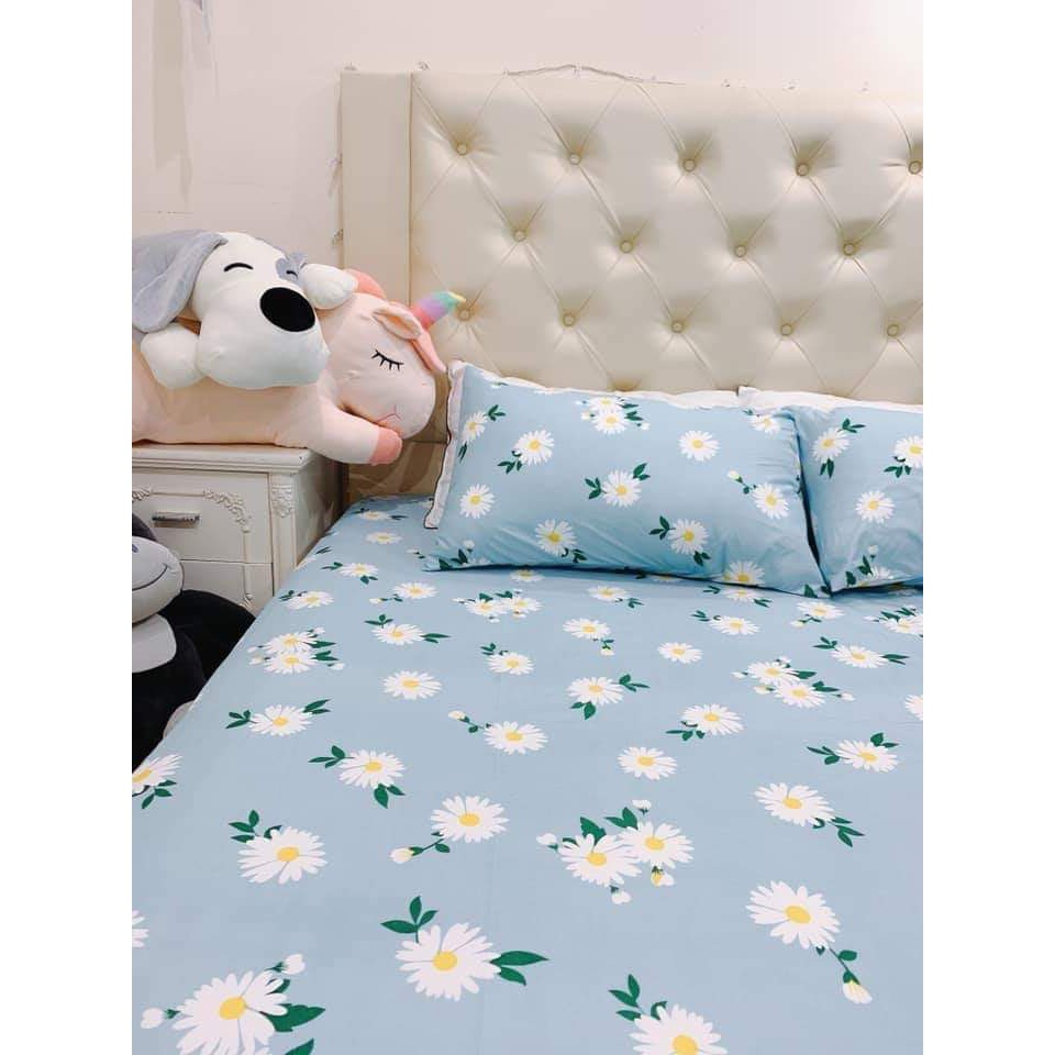 Set ga gối (1 ga chun m6-2m + 2 vỏ gối) (Kèm ảnh thật)