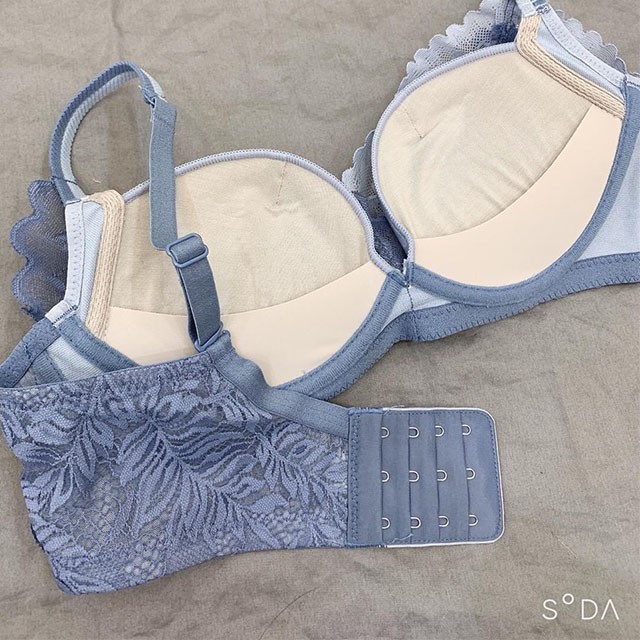 Bộ Lót Ren Không Gọng Đệm Vừa 2,5CM Nâng Ngực Tạo Khe  Tep Venus BDL1353 | BigBuy360 - bigbuy360.vn