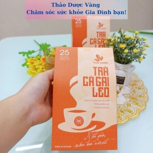 Trà túi lọc Cà gai leo Thái Hưng thải độc gan xóa tan virus - Combo 04 hộp 25 túi lọc 125g