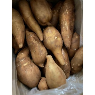 Khoai sâm đất y tý 1kg