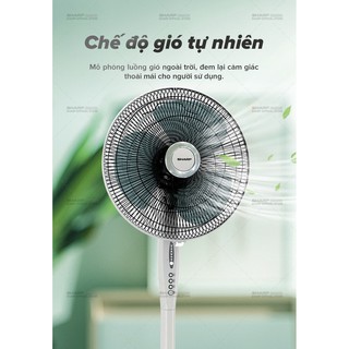 QUẠT ĐỨNG SHARP PJ-S40RV