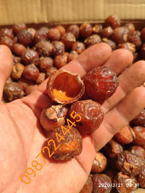3,5KG BỒ HÒN TÁCH HẠT LOẠI 1 TẶNG 200g BỘT BỒ HÒN