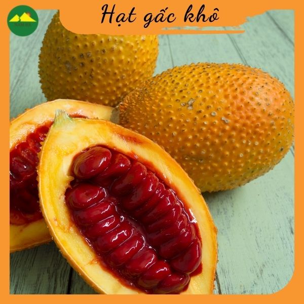 Hạt gấc khô Nam Hà