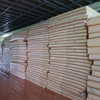 Nệm cao su non 1m6x2mx10cm
