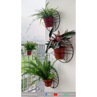 Kệ treo trang trí chậu cây xanh lên tường WB001
