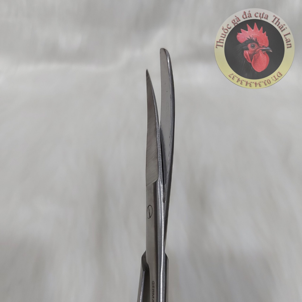 Kéo cong 16cm DẸP - cắt lông , cắt tích dành cho gà đá  hàng nhập GERMANY