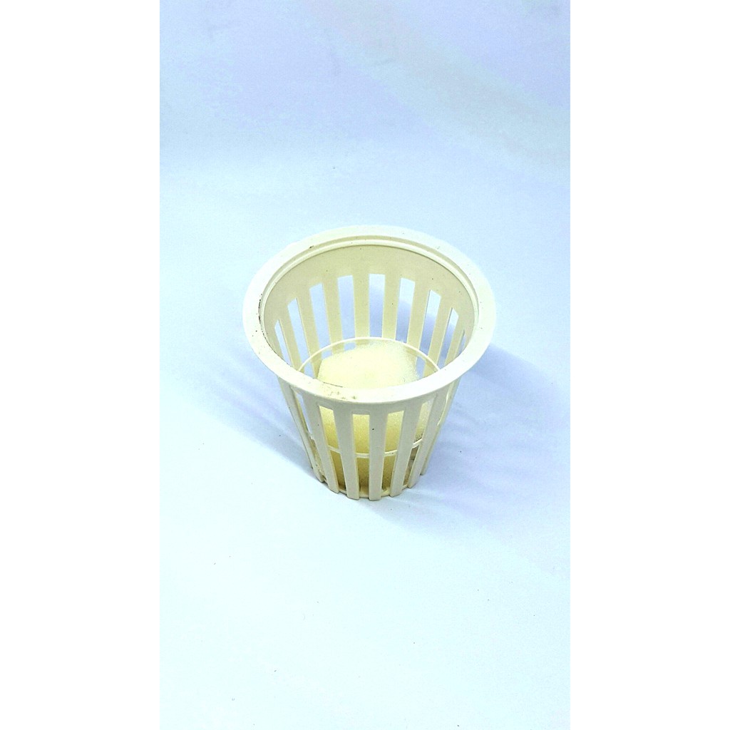 Combo 50 Rọ thủy canh 55x50x30mm