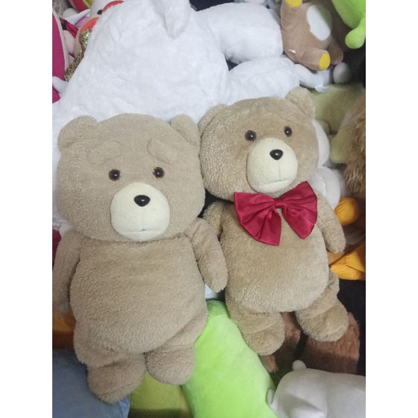 Gấu bông teddy 2size 50-60cm