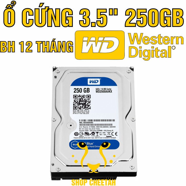 Ổ cứng 250GB Western Digital HDD 3.5” - Chính Hãng – Bảo hành 12 tháng – Tháo máy đồng bộ mới 99% - HDD WD xanh