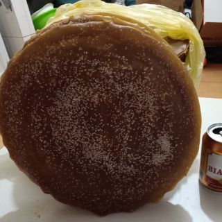 12 Bánh đa mật (quê Hải Hậu-Nam Định)