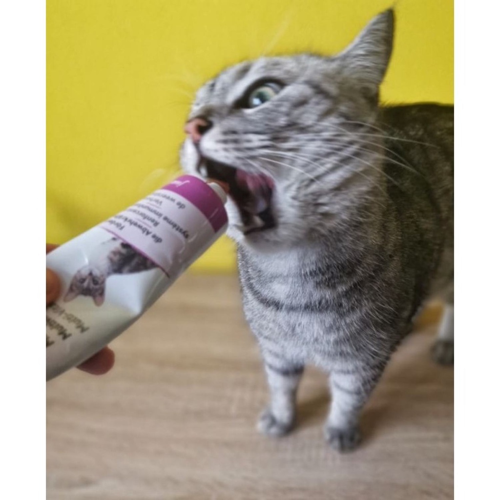 Gel dinh dưỡng Trixie Kitten - bổ sung vitamin tổng hợp cho mèo con nhập Đức 100g