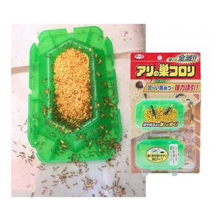 Viên diệt kiến Super Koroki Nhật