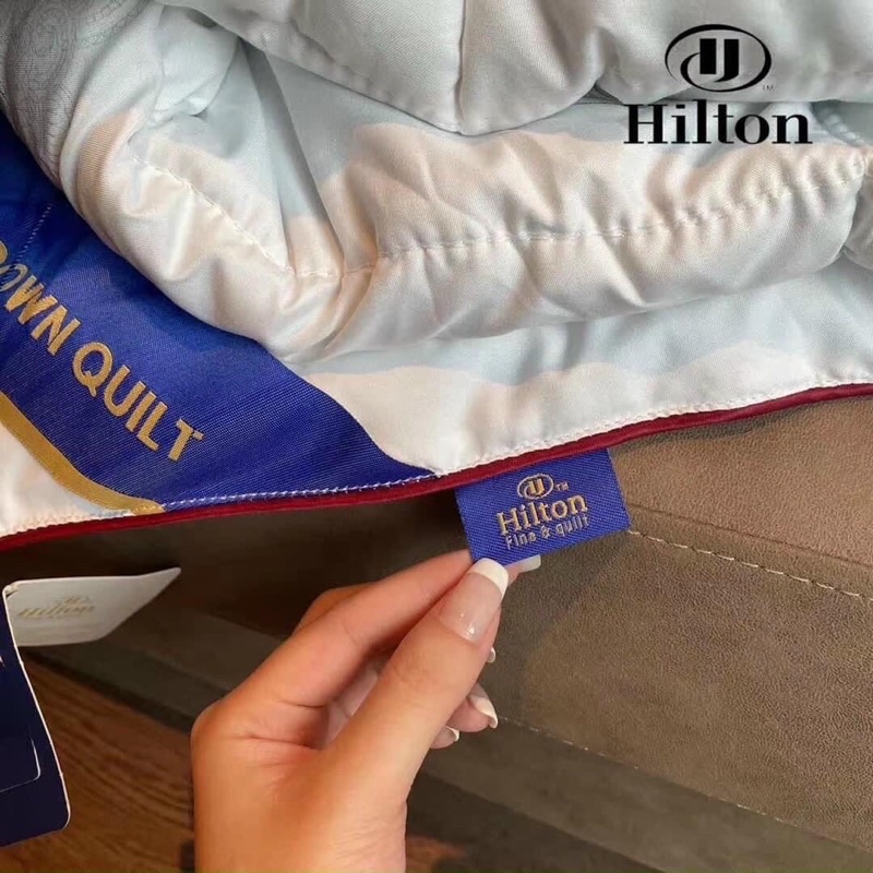 Ruột chăn lông vũ HILTON