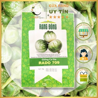 Hạt giống cà dĩa rado 709 gói 0.5gr