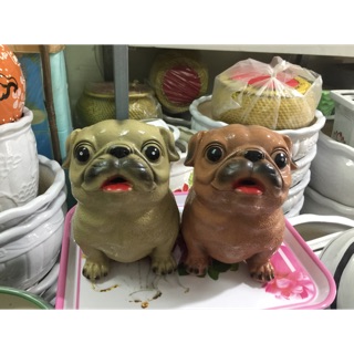 Lợn đất dáng chó lợn hót 2018