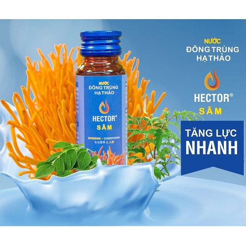 Nước Đông Trùng Hạ Thảo Kết Hợp Sâm Hector 10 Chai