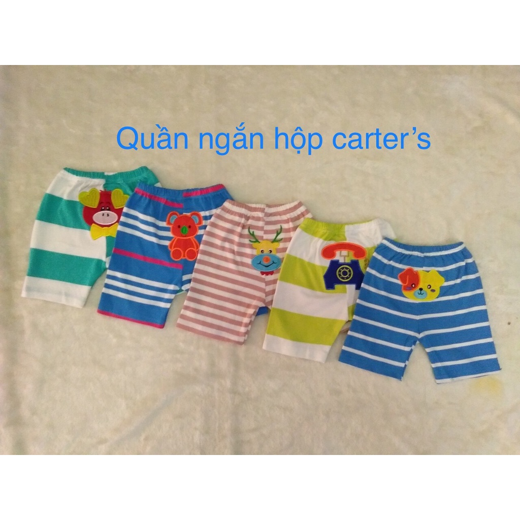 Set 3 Quần lửng / quần ngắn thêu mông thú Carter Thái Lan bé trai (7-14kg)