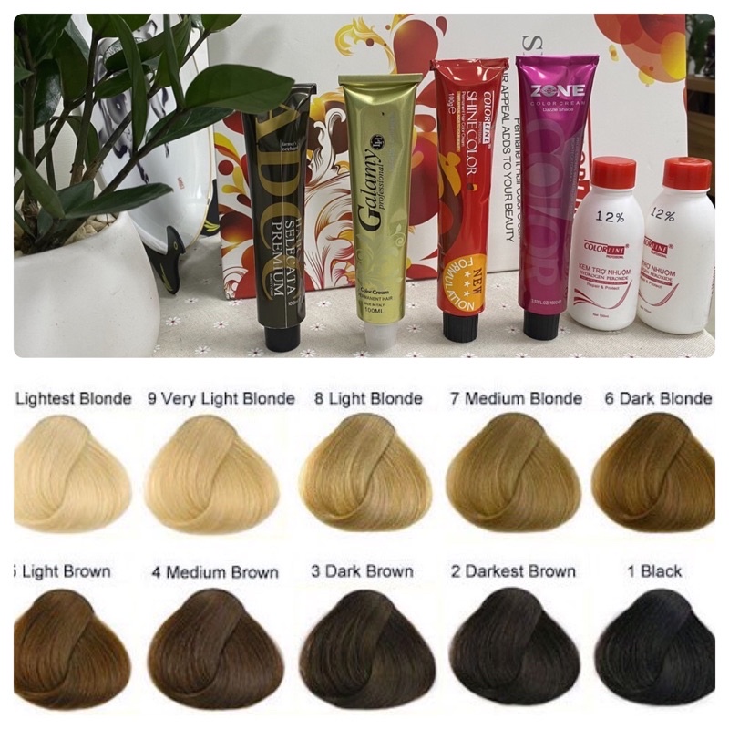 Tuýp Thuốc Nhuộm Tóc Màu Khói Thạch Anh Hồng 11.1 Amethyst Blonde