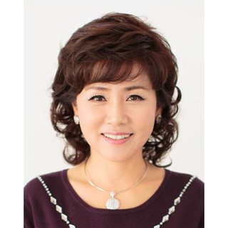 [tặng lưới]TÓC GIẢ CẢ ĐẦU TRUNG NIÊN MẪU 04