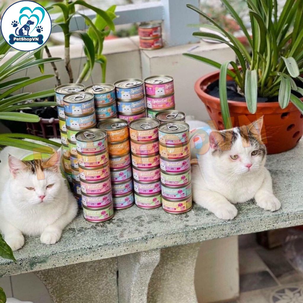 Pate Cho Mèo AATAS CAT Dạng Súp Gà Sợi Nhuyễn Lon 80g Kết Hợp Topping Thơm Ngon, Bổ Dưỡng, Mượt Lông.