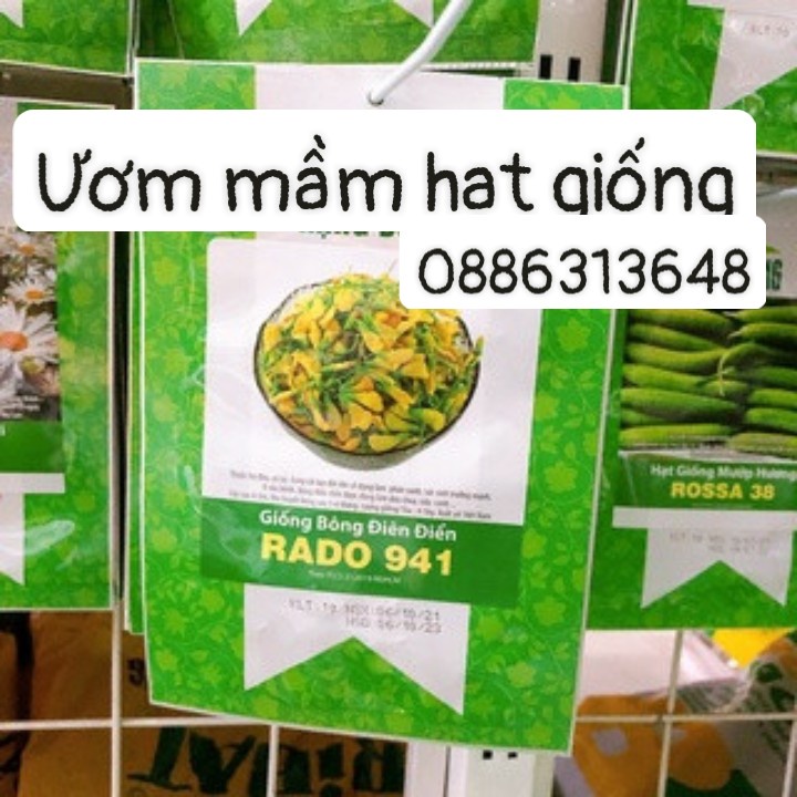 Bông điên điển