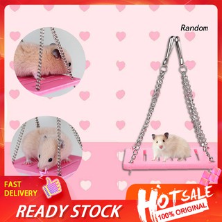 Xích Đu Đồ Chơi Cho Chuột Hamster